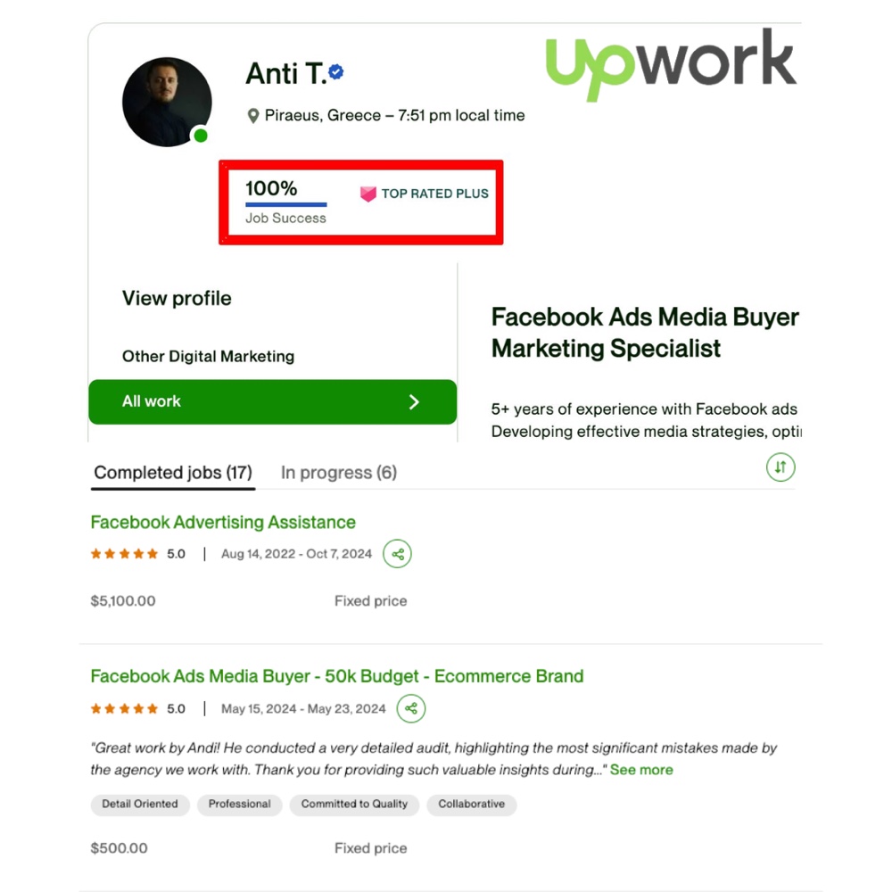Anti Toska Upwork profile: 100% Job Success, Top Rated Plus